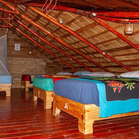 Hostel La Ballena Backpacker Las Galeras Ngoại thất bức ảnh
