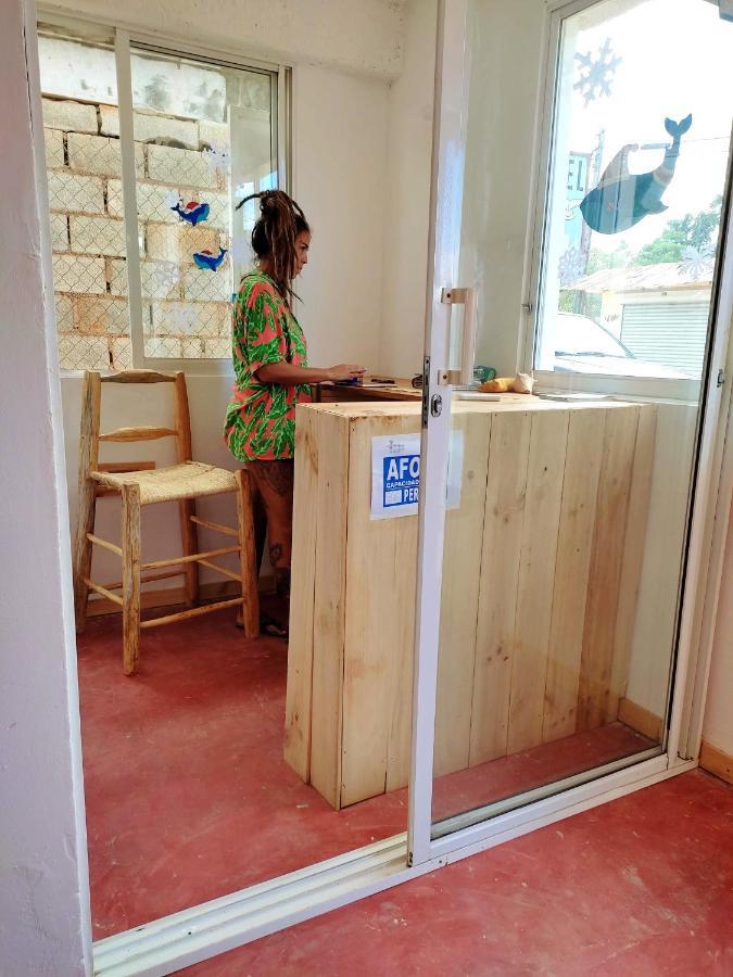 Hostel La Ballena Backpacker Las Galeras Ngoại thất bức ảnh