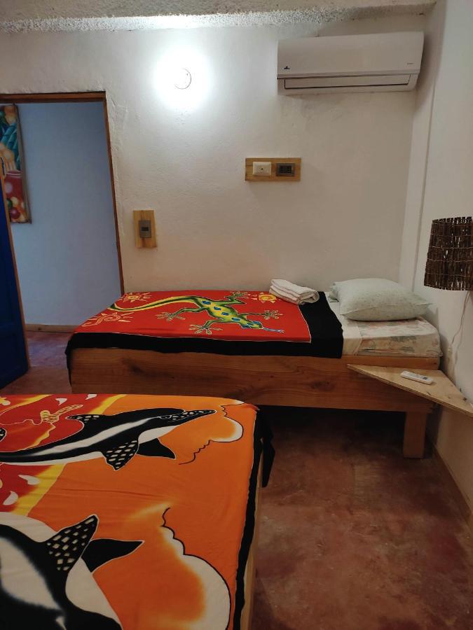 Hostel La Ballena Backpacker Las Galeras Ngoại thất bức ảnh
