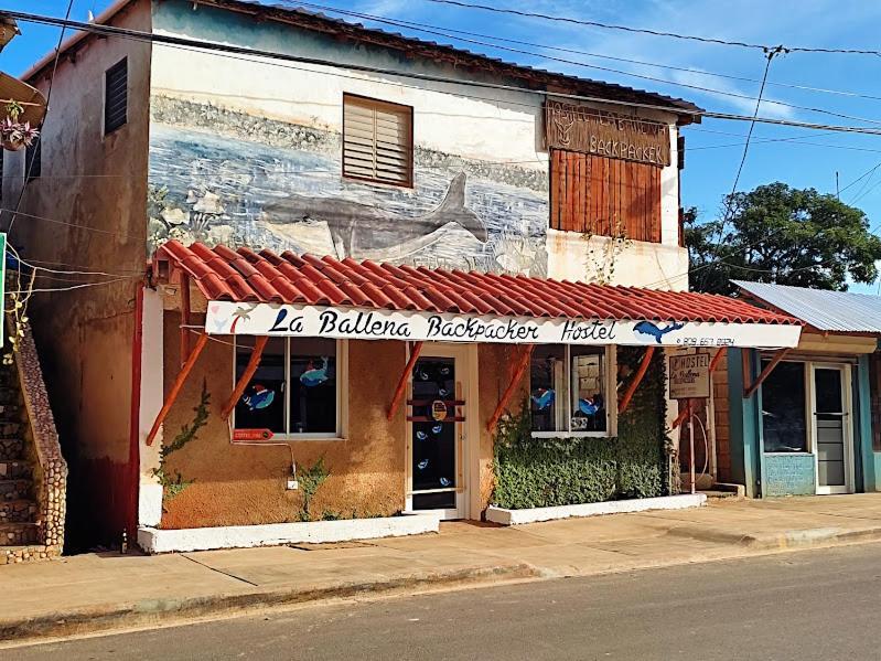 Hostel La Ballena Backpacker Las Galeras Ngoại thất bức ảnh