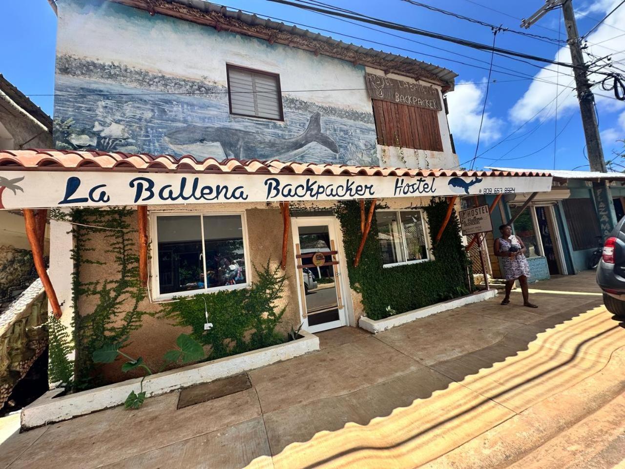 Hostel La Ballena Backpacker Las Galeras Ngoại thất bức ảnh