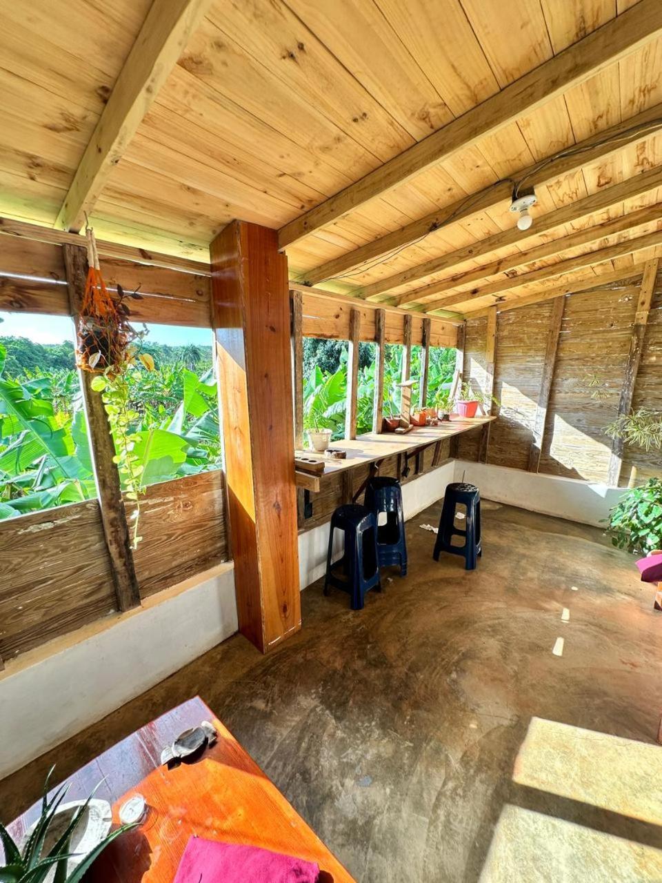 Hostel La Ballena Backpacker Las Galeras Ngoại thất bức ảnh