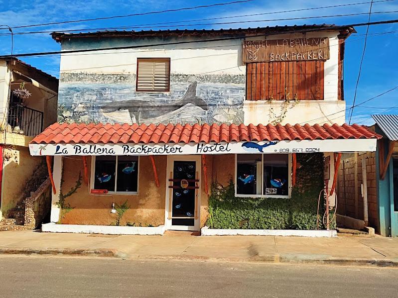 Hostel La Ballena Backpacker Las Galeras Ngoại thất bức ảnh