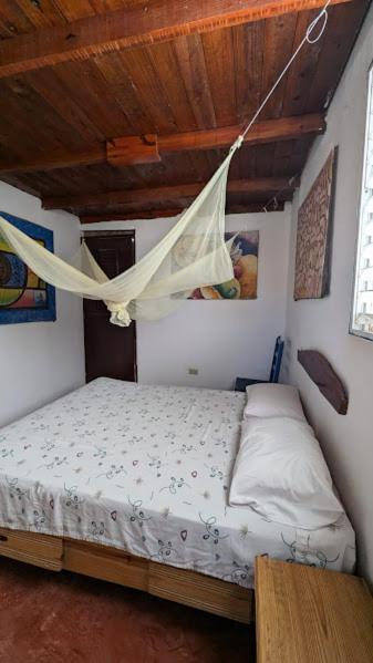Hostel La Ballena Backpacker Las Galeras Ngoại thất bức ảnh