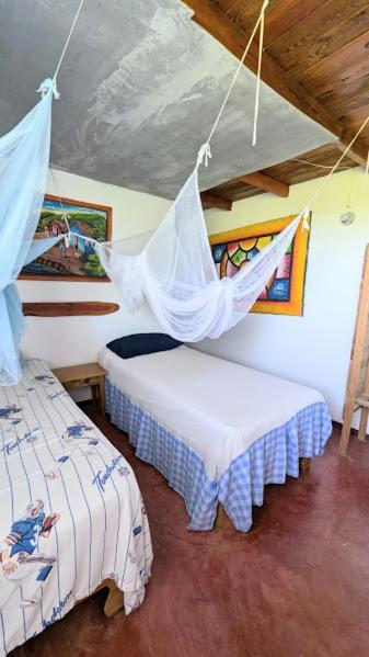 Hostel La Ballena Backpacker Las Galeras Ngoại thất bức ảnh