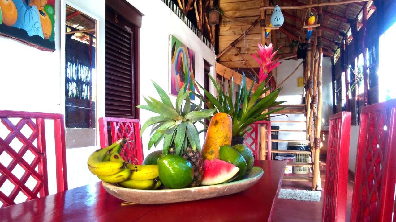 Hostel La Ballena Backpacker Las Galeras Ngoại thất bức ảnh